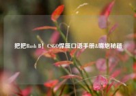 把把Rush B！CSGO悍匪口语手册&嘴炮秘籍