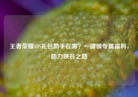 王者荣耀iOS礼包助手在哪？一键领专属福利，助力峡谷之路