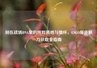 刻在战场DNA里的纯粹质感与情怀，CSGO原皮肤刀获取全指南