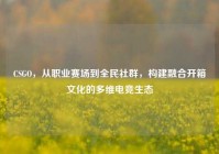 CSGO，从职业赛场到全民社群，构建融合开箱文化的多维电竞生态
