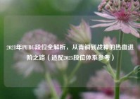 2021年PUBG段位全解析，从青铜到战神的热血进阶之路（适配2025段位体系参考）