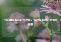 PUBG国际服选区全攻略，选对服务器，吃鸡更顺畅