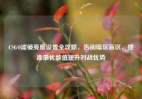 CSGO滤镜亮度设置全攻略，告别暗区盲区，找准最优数值提升对战优势
