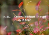 CSGO狙刀，从赛场利刃到收藏图腾，刀身镌刻的CS热血印记