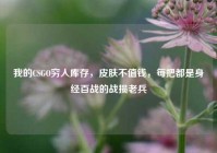 我的CSGO穷人库存，皮肤不值钱，每把都是身经百战的战损老兵