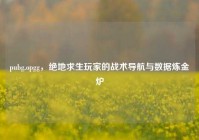 pubg.opgg，绝地求生玩家的战术导航与数据炼金炉
