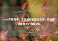 CSGO军规箱子，平民玩家的盲盒狂欢，藏在枪械皮肤里的青春记忆