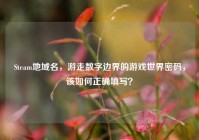 Steam地域名，游走数字边界的游戏世界密码，该如何正确填写？