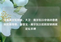 绿茵席尔瓦双星，大卫·席尔瓦以中场诗意镌刻优雅传奇，蒂亚戈·席尔瓦以后防坚韧铸就足坛丰碑