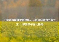 王者荣耀超级抢野攻略，从野区窃贼到节奏之王｜3岁男孩子送礼指南