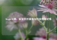 Steam SE周，玩家狂欢盛宴与行业创新试炼