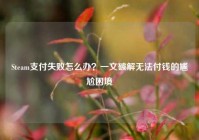 Steam支付失败怎么办？一文破解无法付钱的尴尬困境