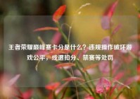 王者荣耀巅峰赛卡分是什么？违规操作破坏游戏公平，或遭扣分、禁赛等处罚