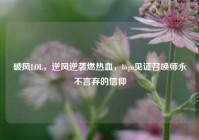 破风LOL，逆风逆袭燃热血，logo见证召唤师永不言弃的信仰