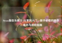 Steam版街头霸王4从零到入门，新手必看的操作、角色与进阶指南