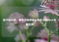 猴子的口袋，藏着召唤师峡谷半段江湖的LOL专属品牌