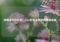 颜值实力双在线！CSGO好看又好用的准星指南