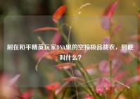 刻在和平精英玩家DNA里的空投极品战衣，到底叫什么？