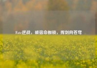 Fate逆战，破宿命枷锁，挥剑向苍穹