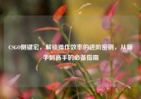 CSGO侧键宏，解锁操作效率的进阶密钥，从新手到高手的必备指南