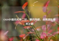 CSGO小镇闪光师二甘，爆闪开路，点亮团队胜利之路