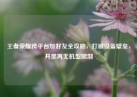 王者荣耀跨平台加好友全攻略，打破设备壁垒，开黑再无机型限制
