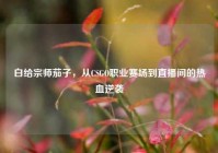 白给宗师茄子，从CSGO职业赛场到直播间的热血逆袭