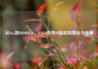 从Neo到NEOFRAG，CSGO传奇ID背后的荣光与传承