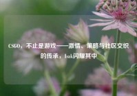 CSGO，不止是游戏——激情、策略与社区交织的传承，Isak闪耀其中