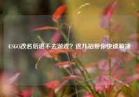 CSGO改名后进不去游戏？这几招帮你快速解决