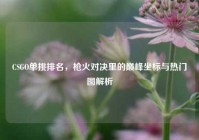 CSGO单挑排名，枪火对决里的巅峰坐标与热门图解析