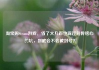 淘宝购Steam游戏，省了大几百也踩过刻骨铭心的坑，到底会不会被封号？