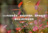CSGO专家级鉴定，解锁皮肤辨伪、战术解析与账号估值的专业密码