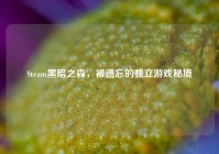 Steam黑暗之森，被遗忘的独立游戏秘境