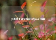 QQ直播王者荣耀超详细入门指南