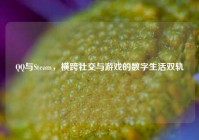 QQ与Steam，横跨社交与游戏的数字生活双轨