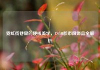 霓虹街巷里的硬核美学，CSGO都市风饰品全解析