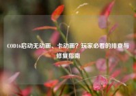 COD16启动无动画、卡动画？玩家必看的排查与修复指南