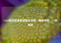 CSGO狙击枪准星调整全攻略，精准锁敌，一枪制敌
