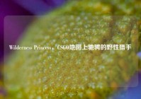 Wilderness Princess，CSGO地图上驰骋的野性猎手
