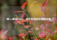 用Visa解锁COD16，海外游戏购买顺畅指南