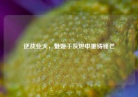 逆战业火，魅姬于灰烬中重铸锋芒