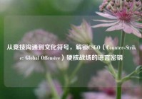 从竞技沟通到文化符号，解锁CSGO（Counter-Strike: Global Offensive）硬核战场的语言密钥