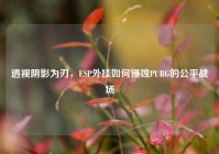 透视阴影为刃，ESP外挂如何侵蚀PUBG的公平战场