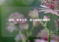 逆战，枪火之外，格斗场的热血锋芒