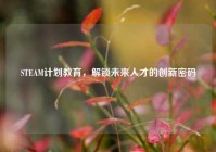 STEAM计划教育，解锁未来人才的创新密码