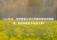 CSGO队友，突然静音让你从热血冲锋到自闭退游，他们到底会不会挡子弹？