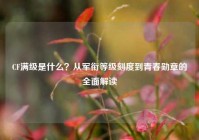 CF满级是什么？从军衔等级刻度到青春勋章的全面解读