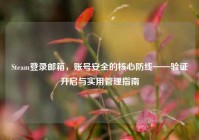 Steam登录邮箱，账号安全的核心防线——验证开启与实用管理指南