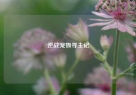 逆战宠物寻主记
